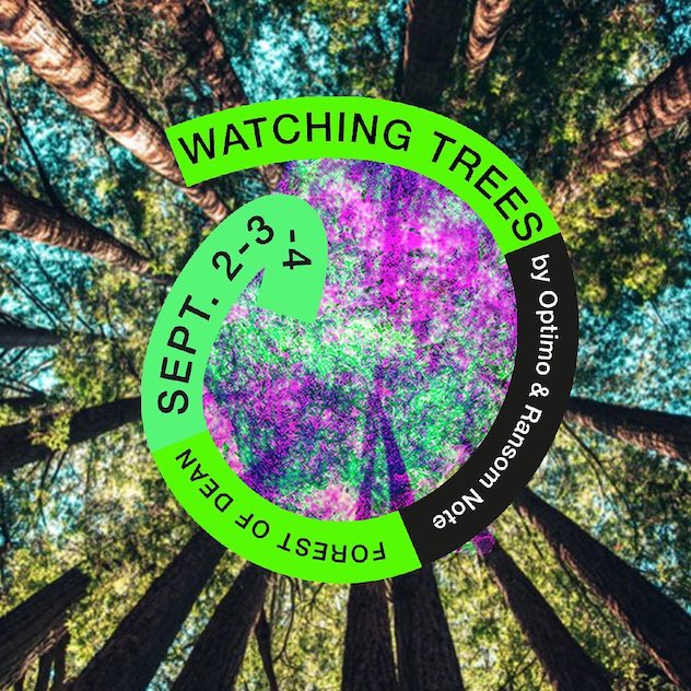 New Event Watching Trees Festival Forest of Dean September 2022.